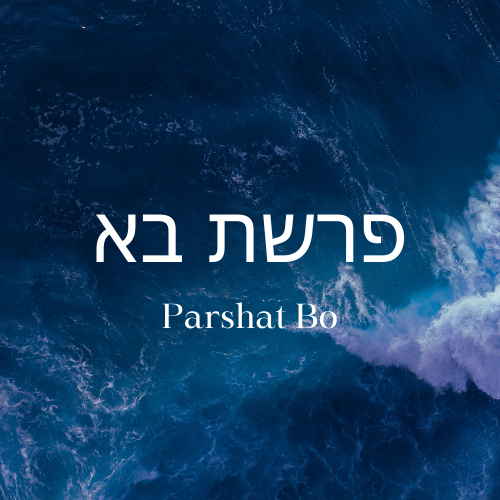 Parshat Bo