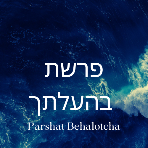 You Want Miracles? Hashem Hides Them in Plain Sight