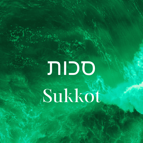Bruised but Beautiful: The Arba Minim’s Lesson in Jewish Unity